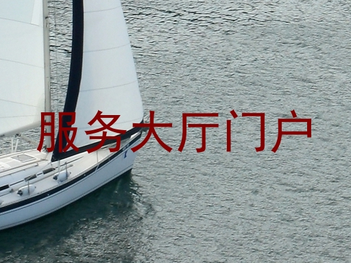 服务大厅门户