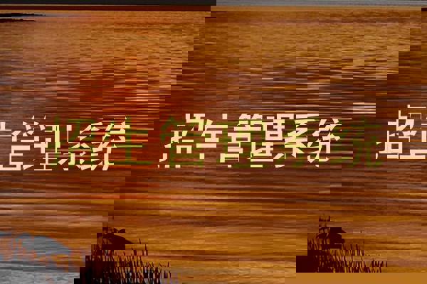 招生管理系统