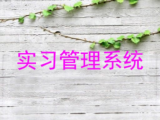 实习管理系统