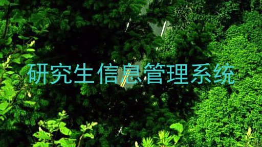 研究生信息管理系统