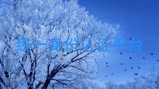 统一身份认证平台