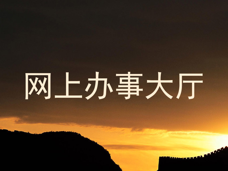 网上办事大厅