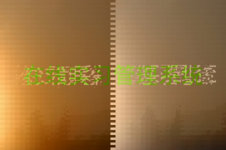 在线实习管理系统