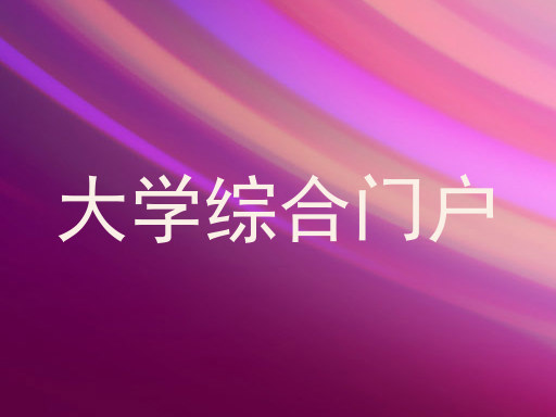 大学综合门户
