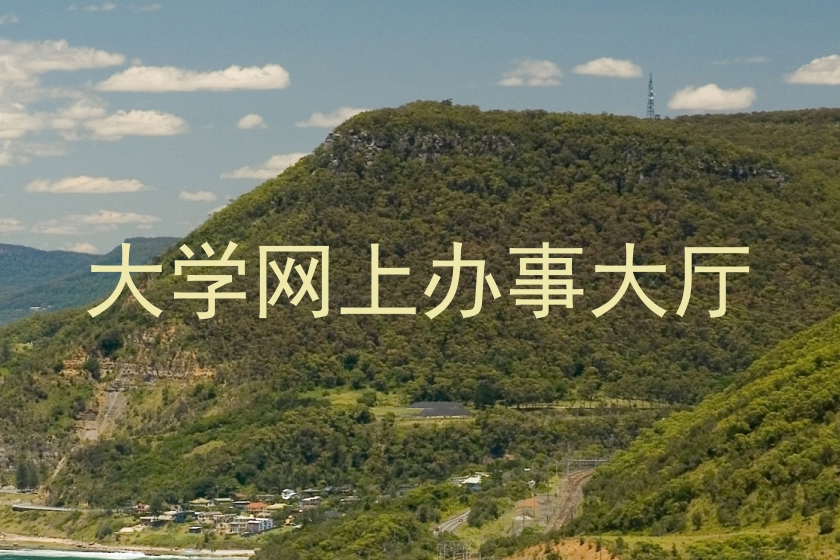 大学网上办事大厅