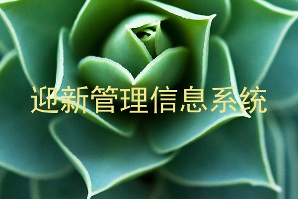 迎新管理信息系统