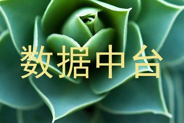 数据中台