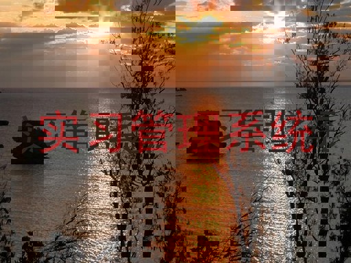 实习管理系统