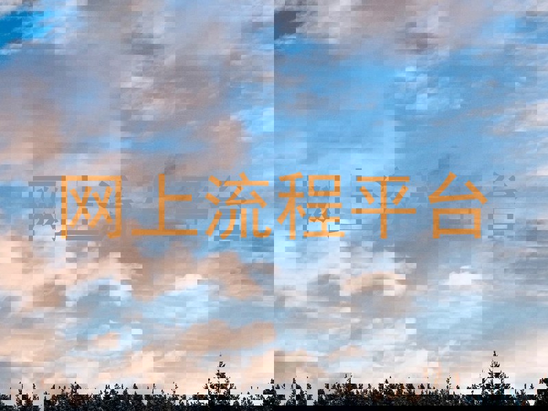 网上流程平台