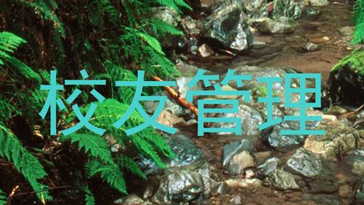 校友管理