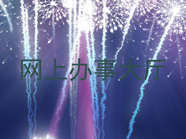 网上办事大厅