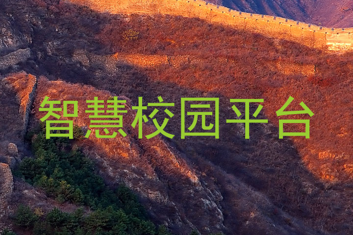 智慧校园平台