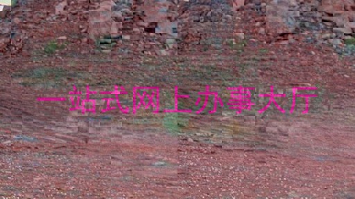 一站式网上办事大厅