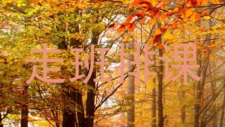 走班排课
