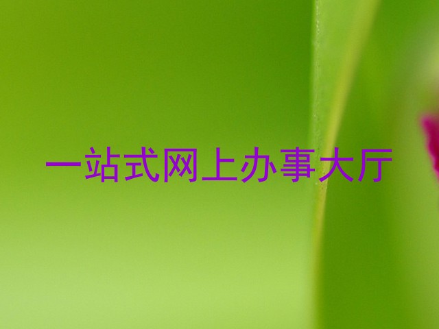 一站式网上办事大厅