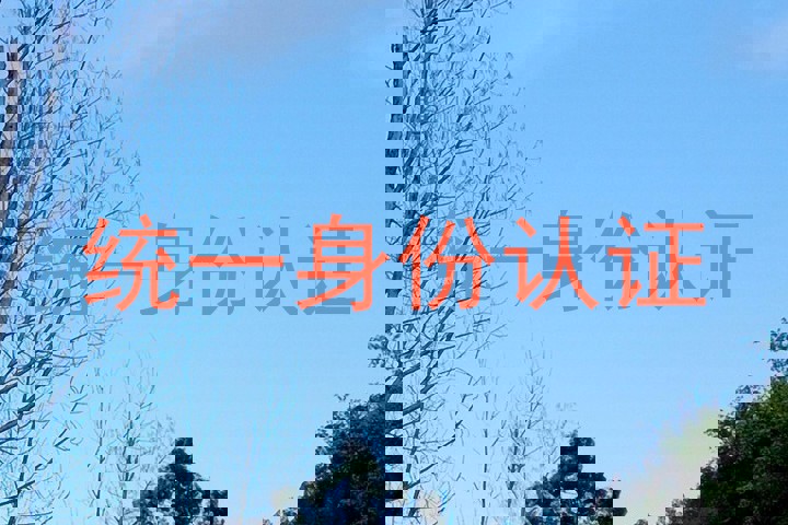 统一身份认证