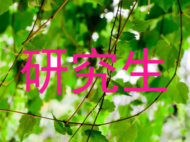 研究生