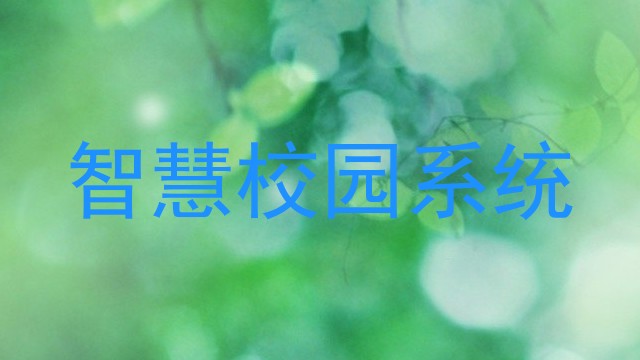 智慧校园系统