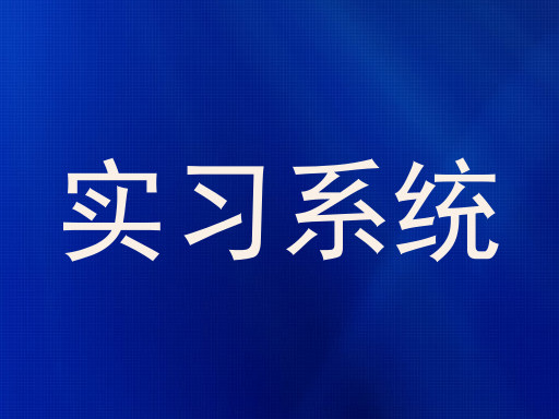 实习系统