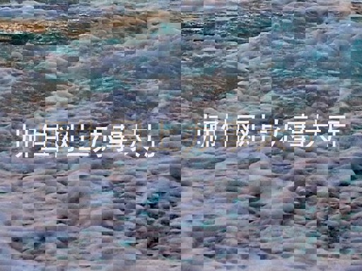 师生网上办事大厅