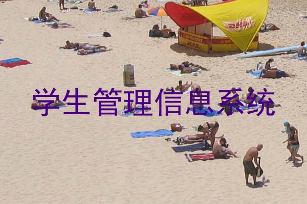 学生管理信息系统