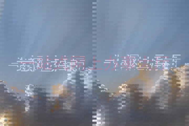 一站式网上办事大厅