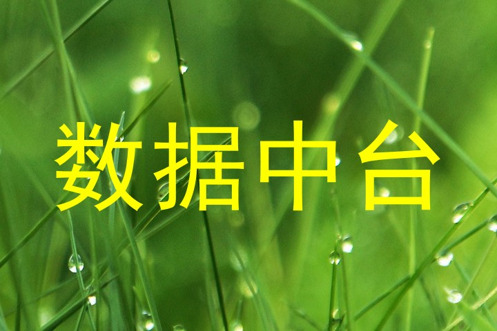 数据中台