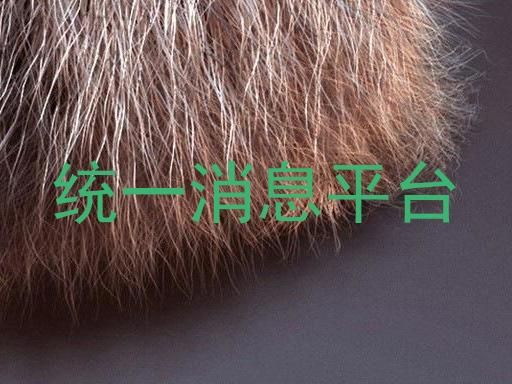 统一消息平台