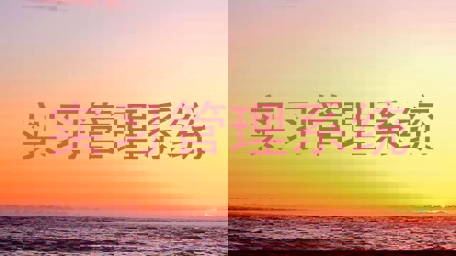 实习管理系统