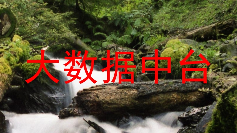 大数据中台