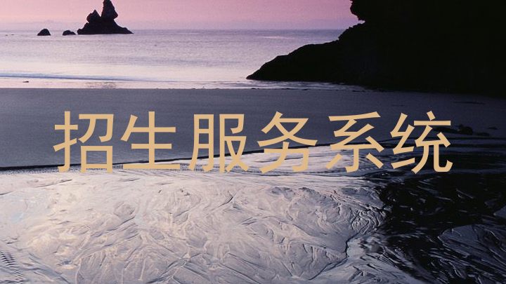 招生服务系统
