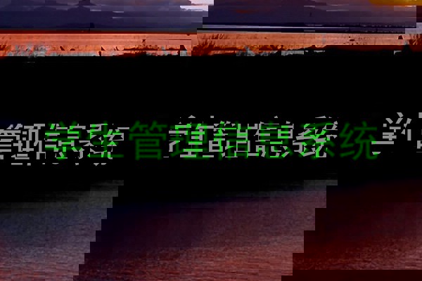 学生管理信息系统
