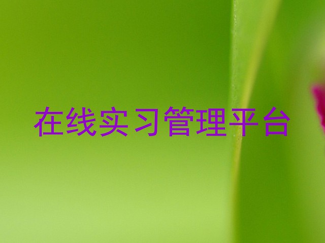 在线实习管理平台