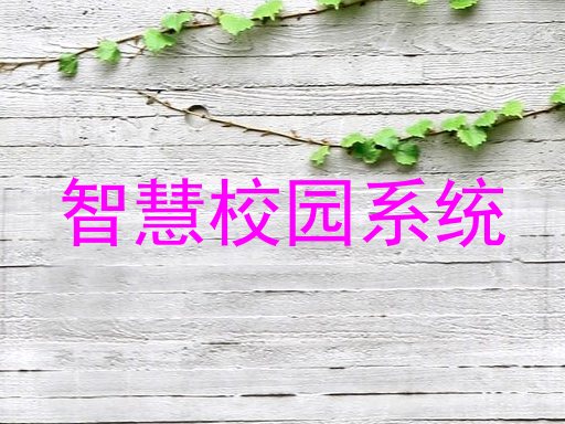 智慧校园系统