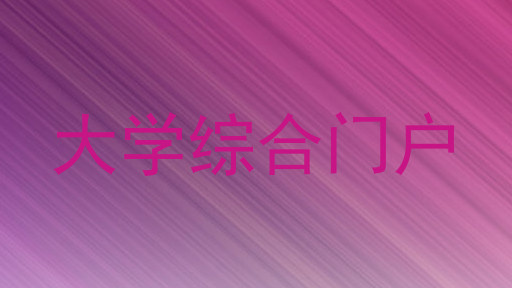 大学综合门户