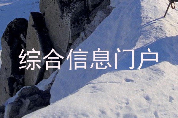 综合信息门户