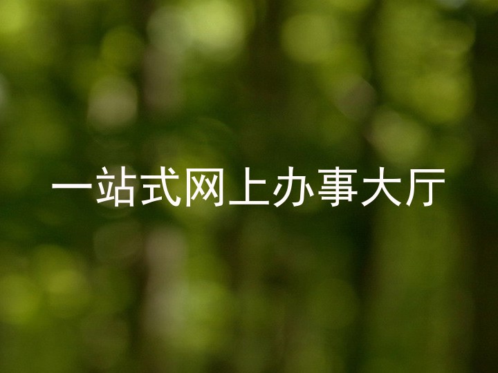 一站式网上办事大厅