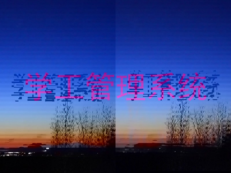 学工管理系统