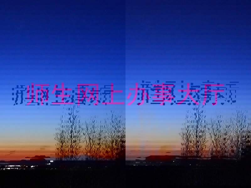 师生网上办事大厅