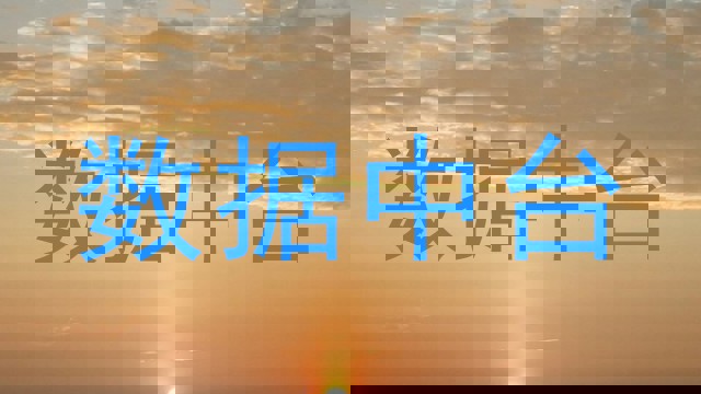 数据中台