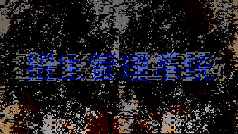 招生管理系统