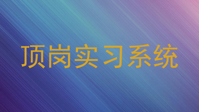 顶岗实习系统
