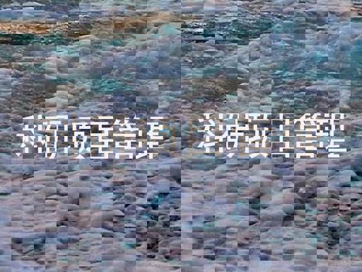 科研项目管理