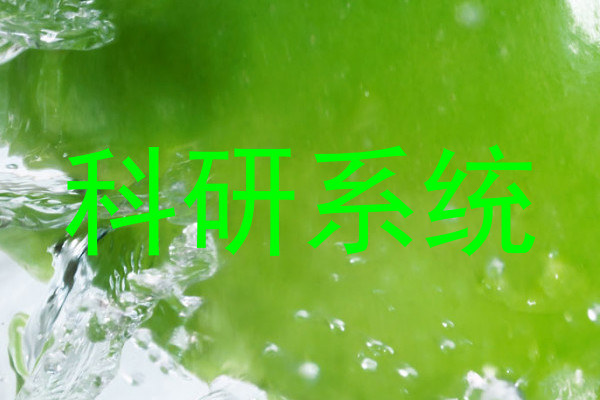 科研系统