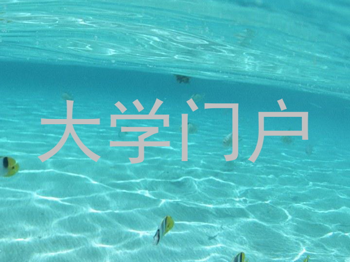 大学门户