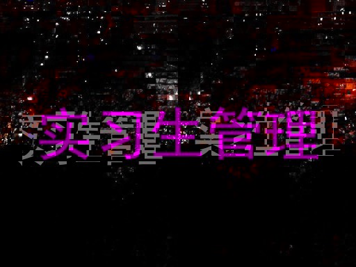 实习生管理