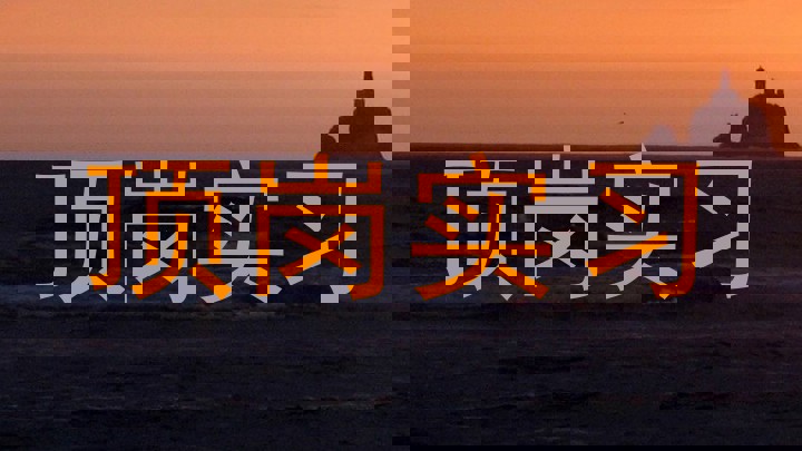 顶岗实习