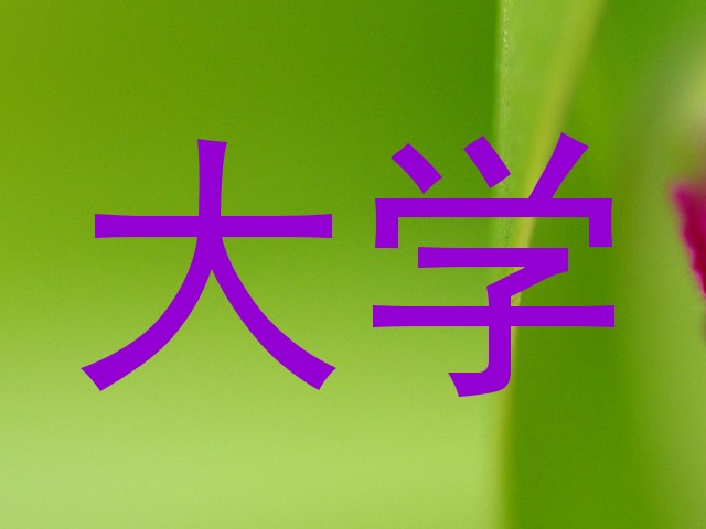大学