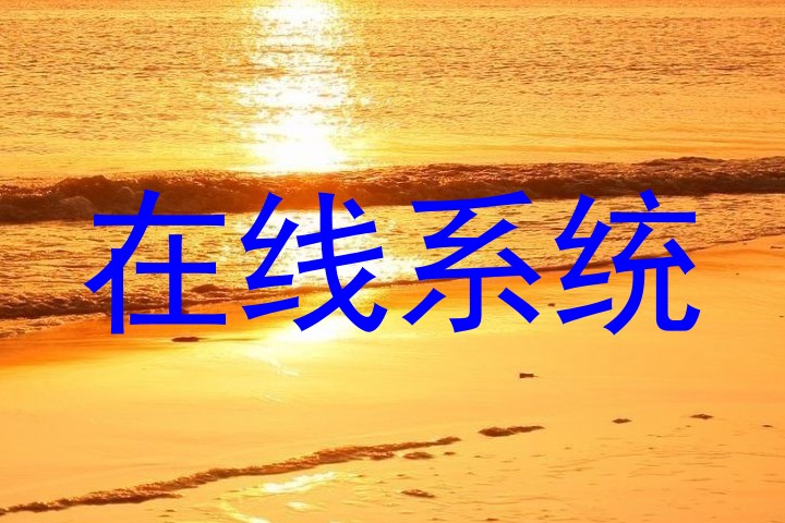 在线系统