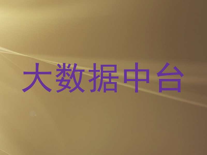 大数据中台